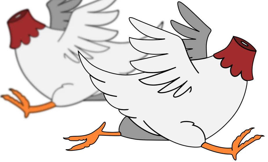 chickens no heads