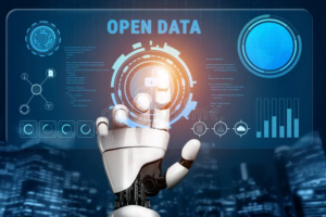 Public AI & Customer PII